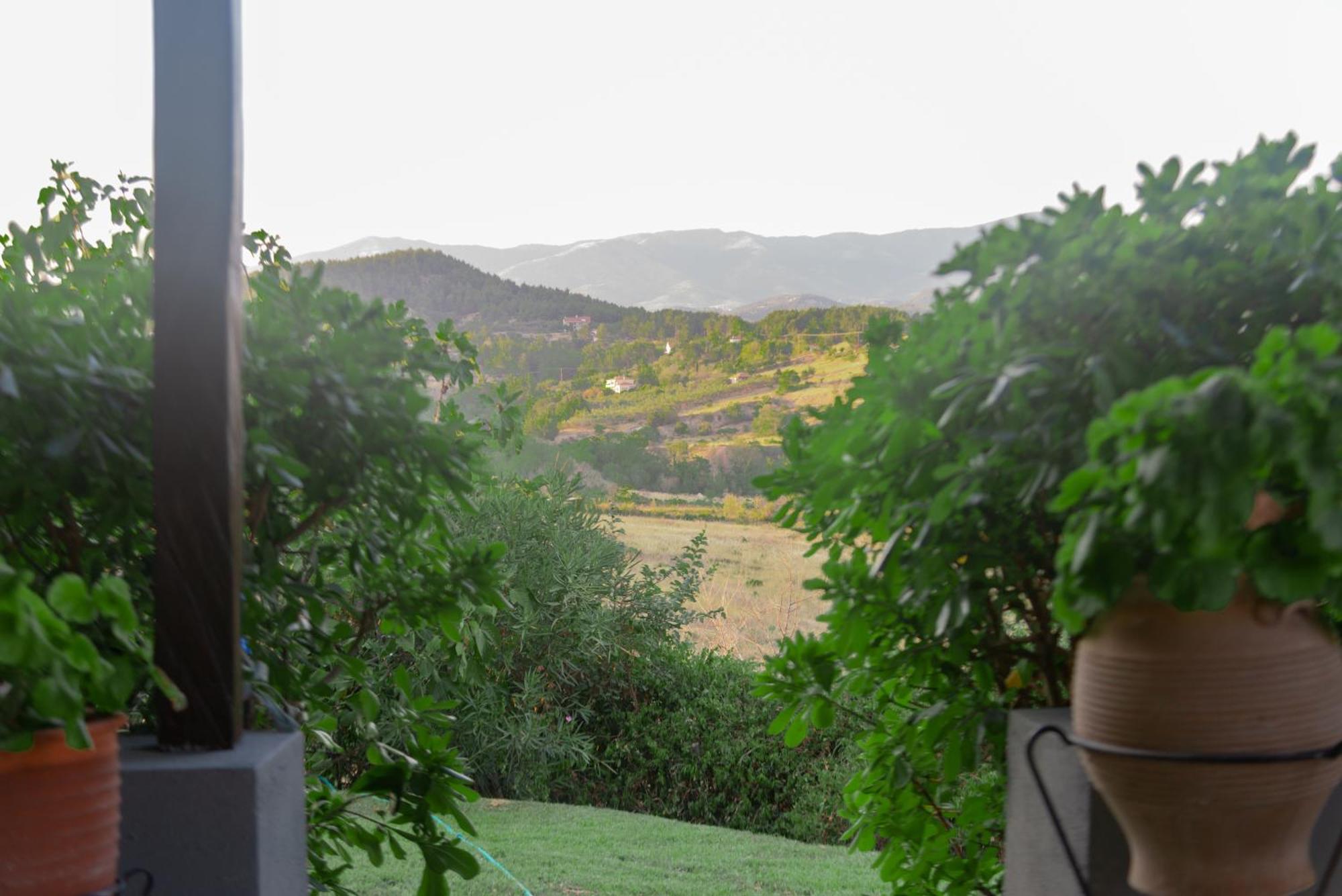 Armonia Country house